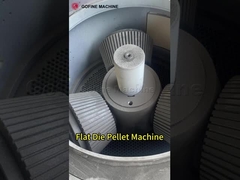 Máquina de Processamento de Pellets com Matriz Plana de Anel de Grande Saída para Granulação de Fertilizantes Orgânicos